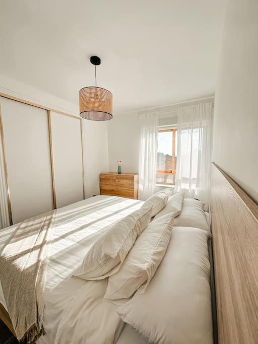 Precioso Apartamento Con Piscina Y Vistas アリカンテ エクステリア 写真